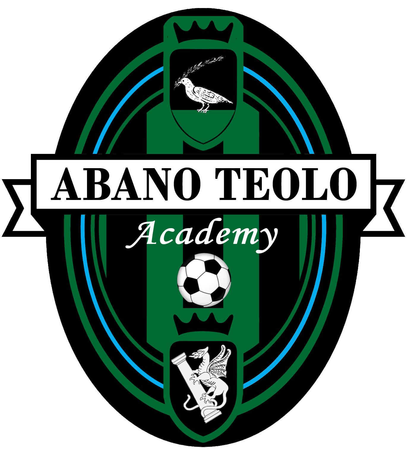 Academy Abano Teolo